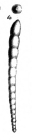 Nodosaria fustiformis Schwager, 1866