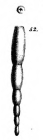 Nodosaria exilis Schwager, 1866