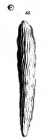 Nodosaria crassitesta Schwager, 1866