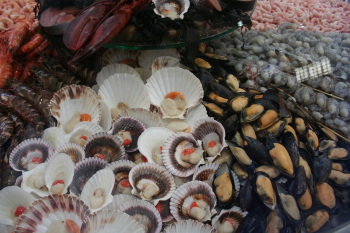 Shellfish