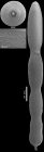 Chrysalogonium polystomum (Schwager, 1866) IDENTIFIED SPECIMEN