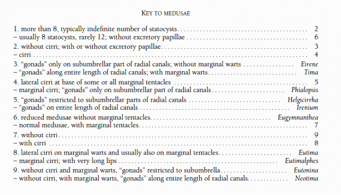Key to genera of the Eirenidae from Bouillon et al. (2006) Key to genera of the Eirenidae from Bouillon et al. (2006)