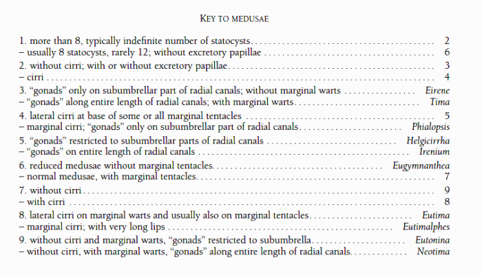 Key to genera of the Eirenidae from Bouillon et al. (2006)