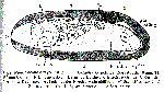 GIF file