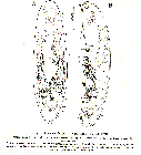 GIF file