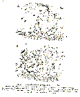 GIF file