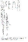 GIF file