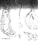 GIF file