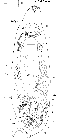 GIF file