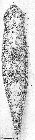 GIF file