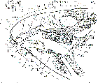 Plicastoma norvegicum