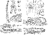 GIF file