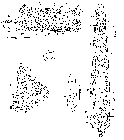GIF file