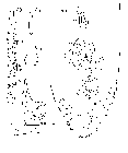 GIF file