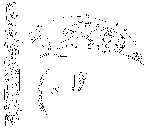 GIF file
