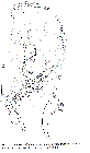 GIF file