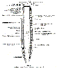 GIF file