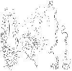 Haplovejdovskya subterranea