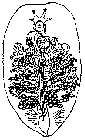 GIF file