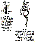 GIF file