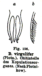 Dalyellia virgulifera