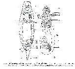GIF file