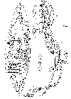 GIF file