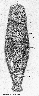 GIF file