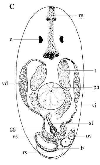 Fig 11