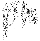 GIF file