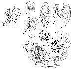 GIF file