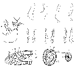 GIF file