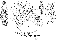GIF file