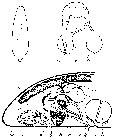 GIF file