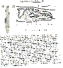 GIF file