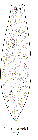 GIF file