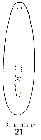 GIF file