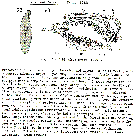GIF file