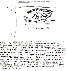 GIF file