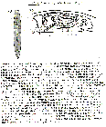 GIF file