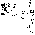 GIF file