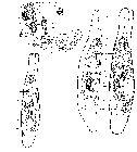 GIF file