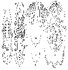 GIF file
