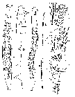 GIF file