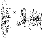 GIF file