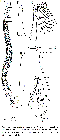 GIF file