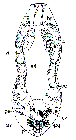 GIF file