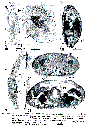 GIF file