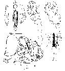 GIF file