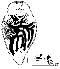 GIF file